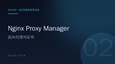 Docker部署 反向代理神器 Nginx Proxy Manager zh