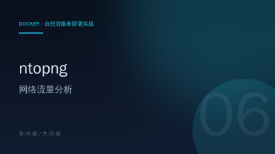ntopng：Docker 部署网络流量分析